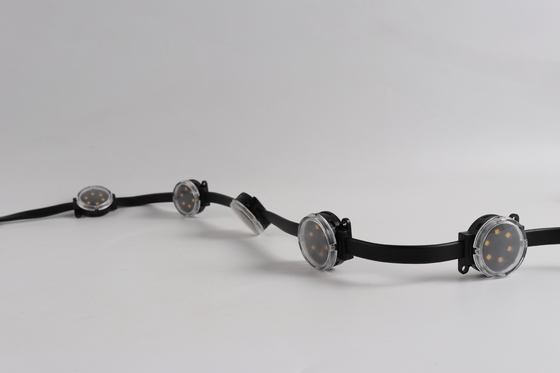 Laagspanning LED Pixel Puntlicht DC24V Adresbare Verlichting voor Buiten Gebouw Landschapsverlichting