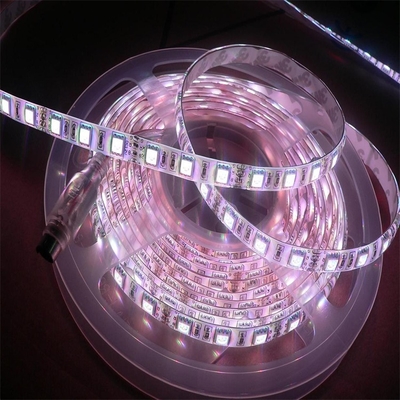 FPC flexibele PCB Board led 5050 RGBW hoge helderheid multifunctionele verlichtingsproducten 5000*12*4.0mm DC24V LED strip licht