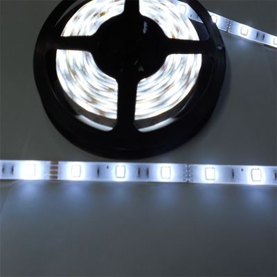 Decorative RGBW 24V 12V  Waterproof Outdoor Smart Led Strip Light Custom 5050 5M 10M 15M Wheel Light Strips