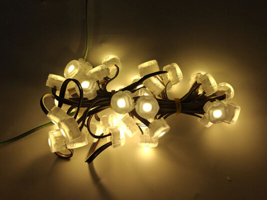 20mm 12V 0.3W SMD5050 IP67 Waterproof LED Point Light with 120° Beam Angle