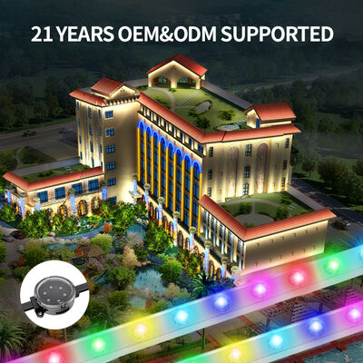 48V langeafstandsoverbrenging LED-puntlichten met 3535 LED-chips voor kerst Theme Park Landschapsdecoratie Outdoor Festival Lighting System