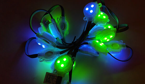 LED-puntlicht voor thuis RGB Led-puntlicht volkleurig 30mm DC12V IP67 waterdicht Led-pixellampen