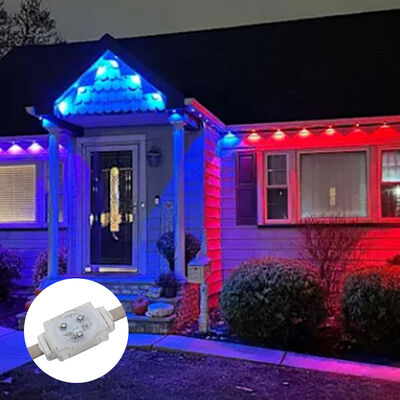 Buiten waterdicht 40 mm kleurrijk monochroom RGBW volkleurig DC48V Gebouw Landschapsverlichting Led Point Light