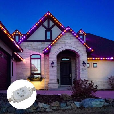 DC48V 40mm RGB Full Color LED Point Light IP67 Waterdicht voor buitenmuurdecoratie