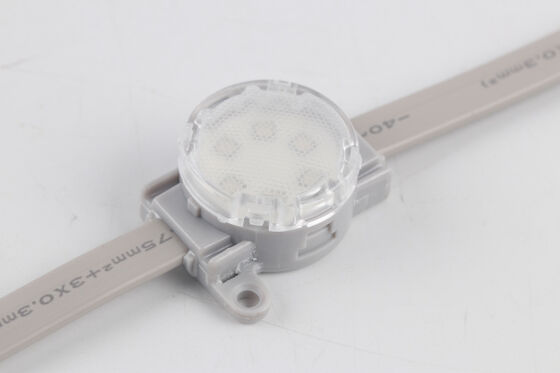IP67 waterdicht 0,75W RGBW LED-pixellicht met DMX512-afstandsbediening voor gebouwgevel