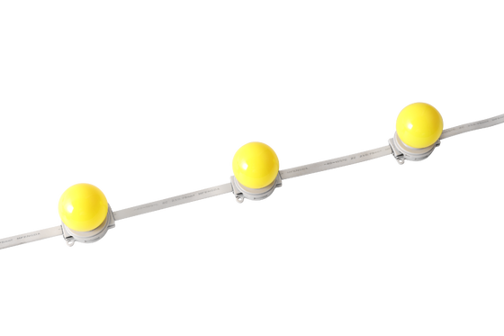 40 mm IP67 waterdicht DC 24V LED Globe Light voor architectonisch buitenverlichting