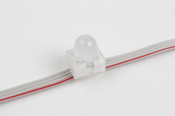 12mm RGB SMD5050 LED Puntlicht IP67 Doorsteekanker Pixel Light met 160 graden bundelhoek
