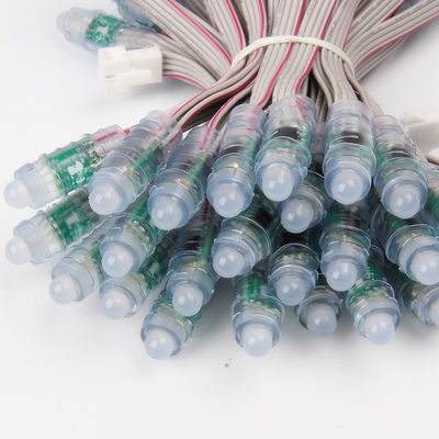 De cruisesdecoratie 0.1w 12mm leidde de Lichten van het Pixelkoord