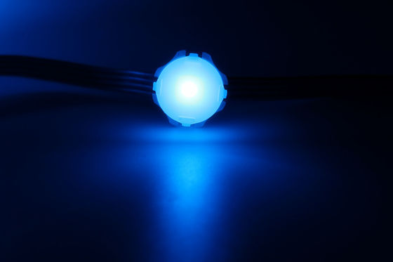 Adresseerbare 30mm Waterdichte IP67-LEIDEN Vleklicht