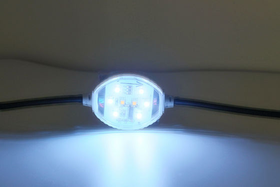 120° hoek1.5w 24V 60mm IP65 RGBW LEIDEN Pixel