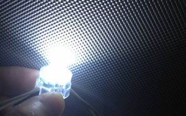 Ingevoerd de Helderheidsdc12v SMD 5050 LEIDEN van PC Shell Pixel Licht Ce ROHS