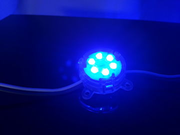 RGB Hoogtepunt van gelijkstroom 24V - kleur LEIDEN Pixellicht voor LEIDEN Uithangbord, 12mm LEIDENE Pixel