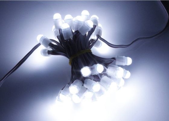 Van het LEIDENE van de mirakelboon 0.2w 16lm Licht 9mm 12v IP67 Puntpixel