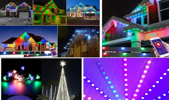 2904 maakt het RGBW Geleide Punt Lichte IP67 Openlucht RGB LEIDEN van 1903 Licht Koord waterdicht